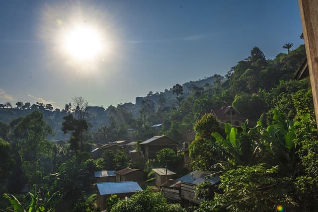 congo