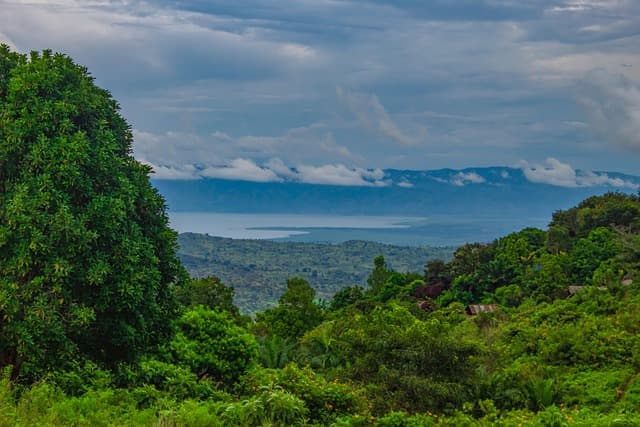 The Second Largest Tropical Forest is Losing Ancient Carbon