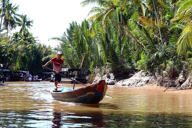 The Mekong Between Energy and Ecology
